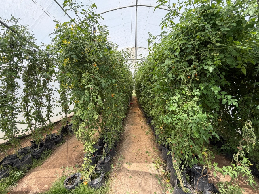 0 Bedroom Property for Sale in Metsimaholo Free State